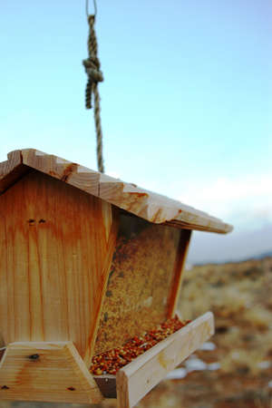 Back yard bird feeder full of wild bird food.の写真素材