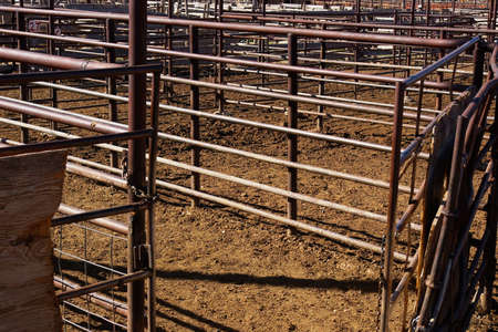 Empty pen at a livestock auction yard.の写真素材