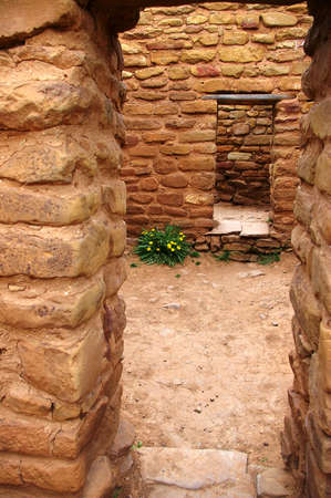 Ancient pueblo ruins with dandelions growing inside.の写真素材