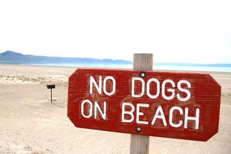 Instructions for dogs at a large lakeside beach.の写真素材