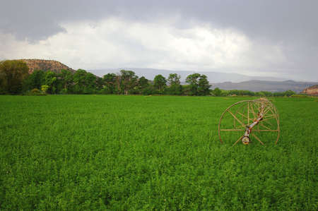 Bright green field with dark clouds and a wheel line.の写真素材