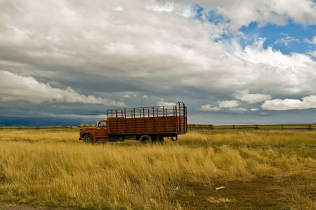 An old farm truck sits in a meadow under a darkening sky.の写真素材