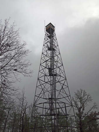 An old fire look out tower stands in a clearing between pine trees.の写真素材