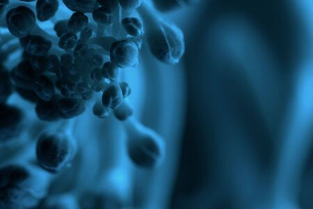 Macro photograph of small plantlife, altered for an outerworldly science-fiction lookの写真素材