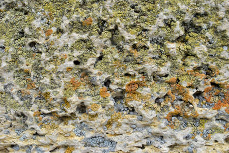 wall of an old castleの写真素材