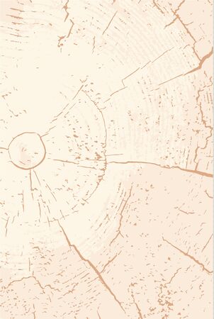 Wood texture,   illustration. Natural wooden background.Wood cross section.のイラスト素材
