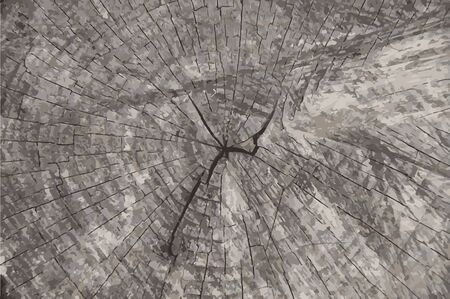 A Vector grunge texture background.Natural wooden texture backdrop.のイラスト素材