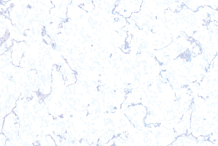 Vector seamless pattern. White and grey marble texture. Holiday background. Trendy template for design, party, invitation and more.のイラスト素材