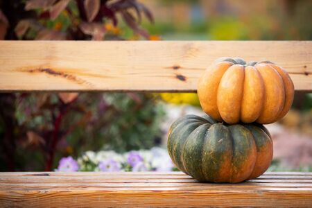Colorful autumn Thanksgiving background with copy space for your text.