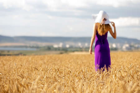 A defocused young woman holding hat, walking in the golden wheat field. Selective focus, focus on the wheat. Sunset light. Summer nature.の写真素材