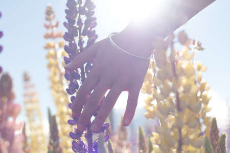 Hand and Flowersのeditorial素材