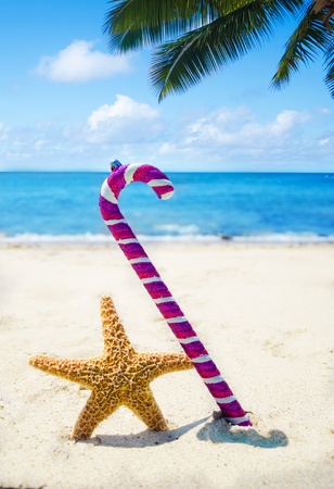 Starfish with Christmas decoration on sandy beach in sunny day- holiday conceptの写真素材
