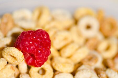 Healthy breakfast with cereals, blueberry, raspberry and milk. Selective focus.の写真素材