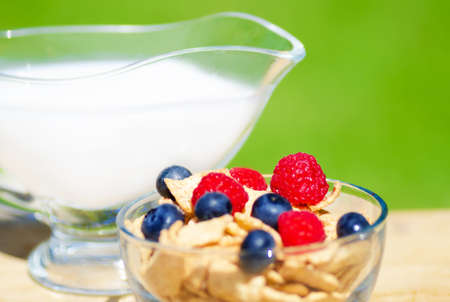Healthy breakfast with cereals, blueberry, raspberry and milk. Selective focus.