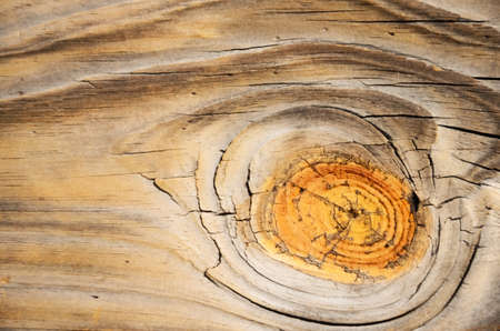 Background with the natural old wood grainの写真素材