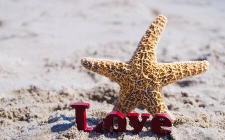 Sign "LOVE" with starfish on the sandy beach by the oceanの写真素材