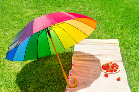 Rainbow umbrella and strawberry in the plate on picnic mat on the grassの写真素材
