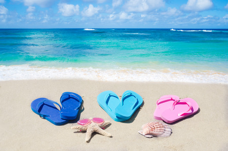 Flip flops, seashell and starfish on the sandy beach by oceanの写真素材