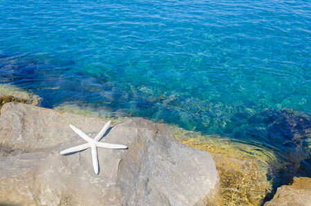 Starfish by the Mediterranean Sea, Cyprus, Limassolの写真素材