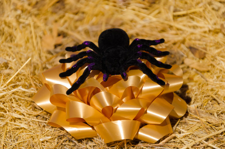 Halloween decoration on the grass - holiday conceptの写真素材