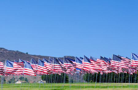 American flags background on a green field 