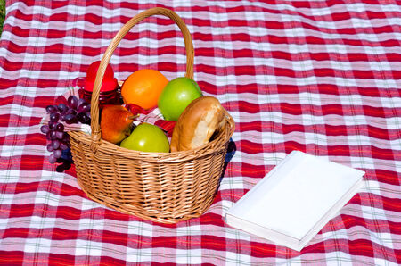 Picnic basket with fruits and book on the grass backgroundの写真素材