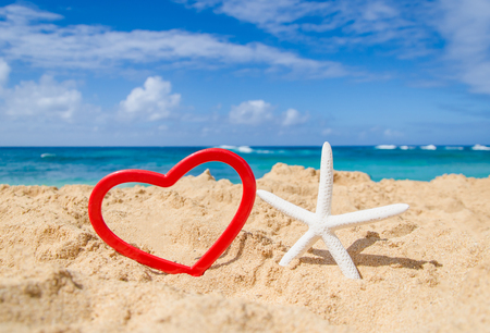 Starfish with heart shape  on the sandy beach in Hawaii, Kauaiの写真素材
