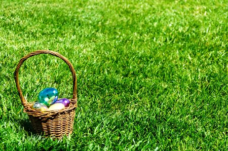 Easter Colorful eggs on the green grass background の写真素材