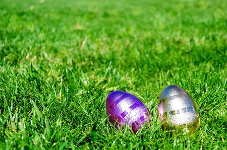 Easter Colorful eggs on the green grass backgroundの写真素材