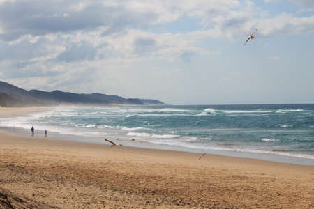 Beachの写真素材