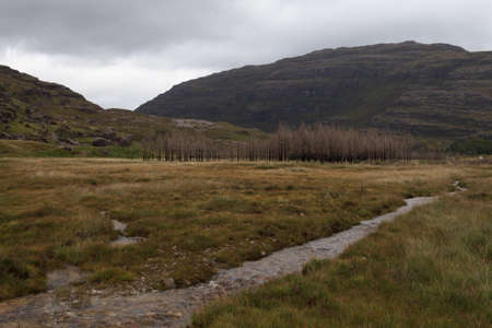 Scotland coloursの写真素材