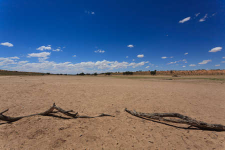 Panorama from Kgalagadi National Park, South Africaの写真素材