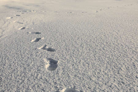Human footsteps over frozen snowの写真素材