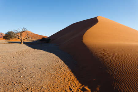 Red dunes on the road to Sossusvlei, Namibiaの写真素材