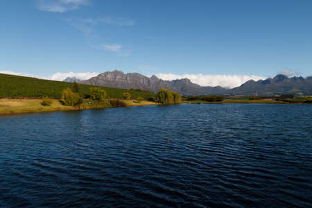 A Stellenboscsh panorama with tipical rows of vines, South Africaの写真素材