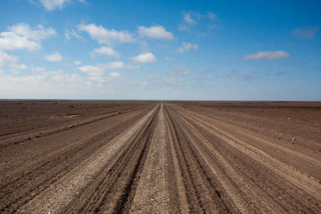 Salt road from Skeleton coast, Namibiaの写真素材