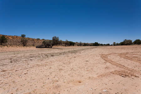 Panorama from Kgalagadi National Park, South Africaの写真素材