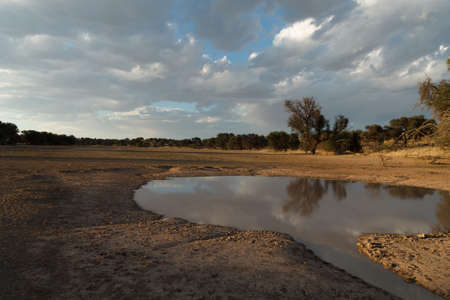 A view of Kalahari, Namibiaの写真素材