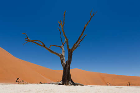 A view from Dead Vlei, Sossusvlei Namibiaの写真素材