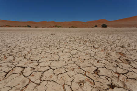 Sossusvlei salt pan with red background dunes in Namibiaの写真素材