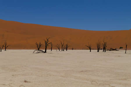 A view from Dead Vlei Sossusvlei Namibiaの写真素材