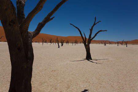 A view from Dead Vlei Sossusvlei Namibiaの写真素材
