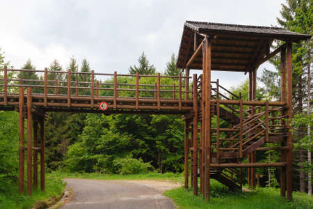 A wooden bridge over a road along a trekking path in italian alpsの写真素材