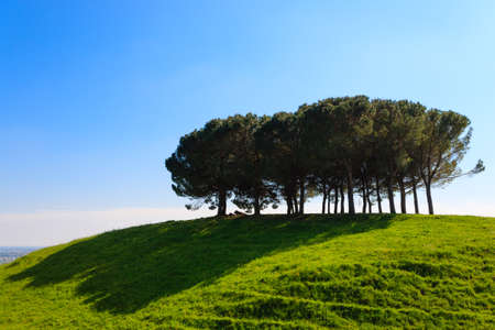 Panorama from Italian hills lonely trees over blue skyの写真素材