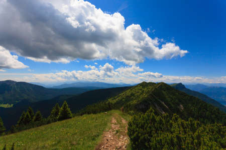 Panorama from Italian alps, mugo pines along a mountain trekking pathの写真素材