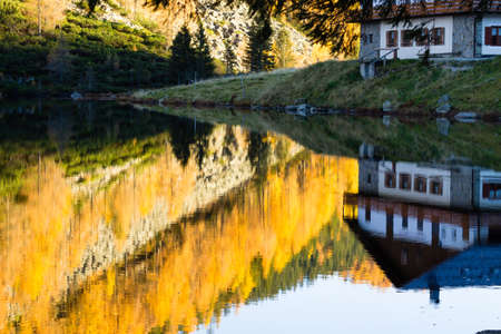House reflected on water with yellow pines. Autumn panorama. House mirroredの写真素材