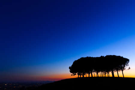 Hills panorama at sunset. Pines over hill. Minimal landscapeの写真素材