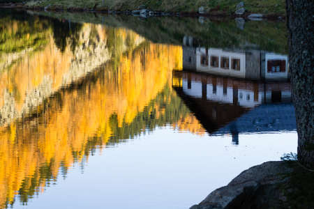 House reflected on water with yellow pines. Autumn panorama. House mirroredの写真素材