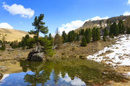 Mountain panorama. Tree over a rock  which is reflected on a lake.の写真素材