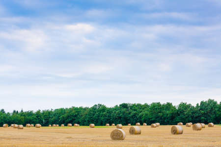 Italian countryside panorama. Round bales on wheat field. Agriculture, rural life